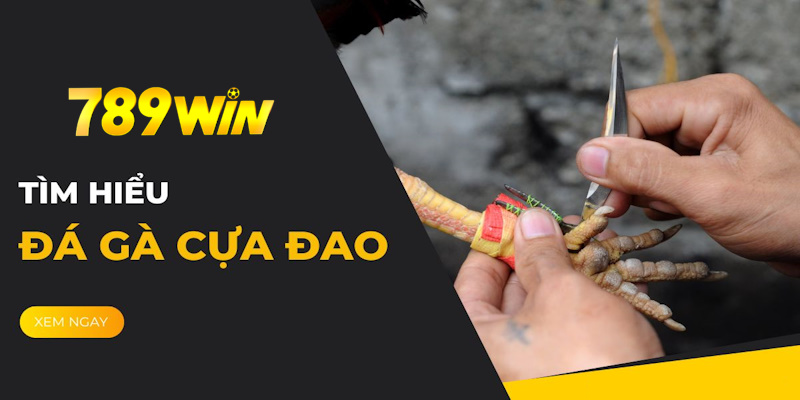 đá gà cựa dao 789win